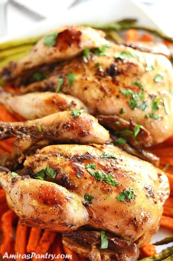 Cornish Game Hen Recipe Slow Cooker