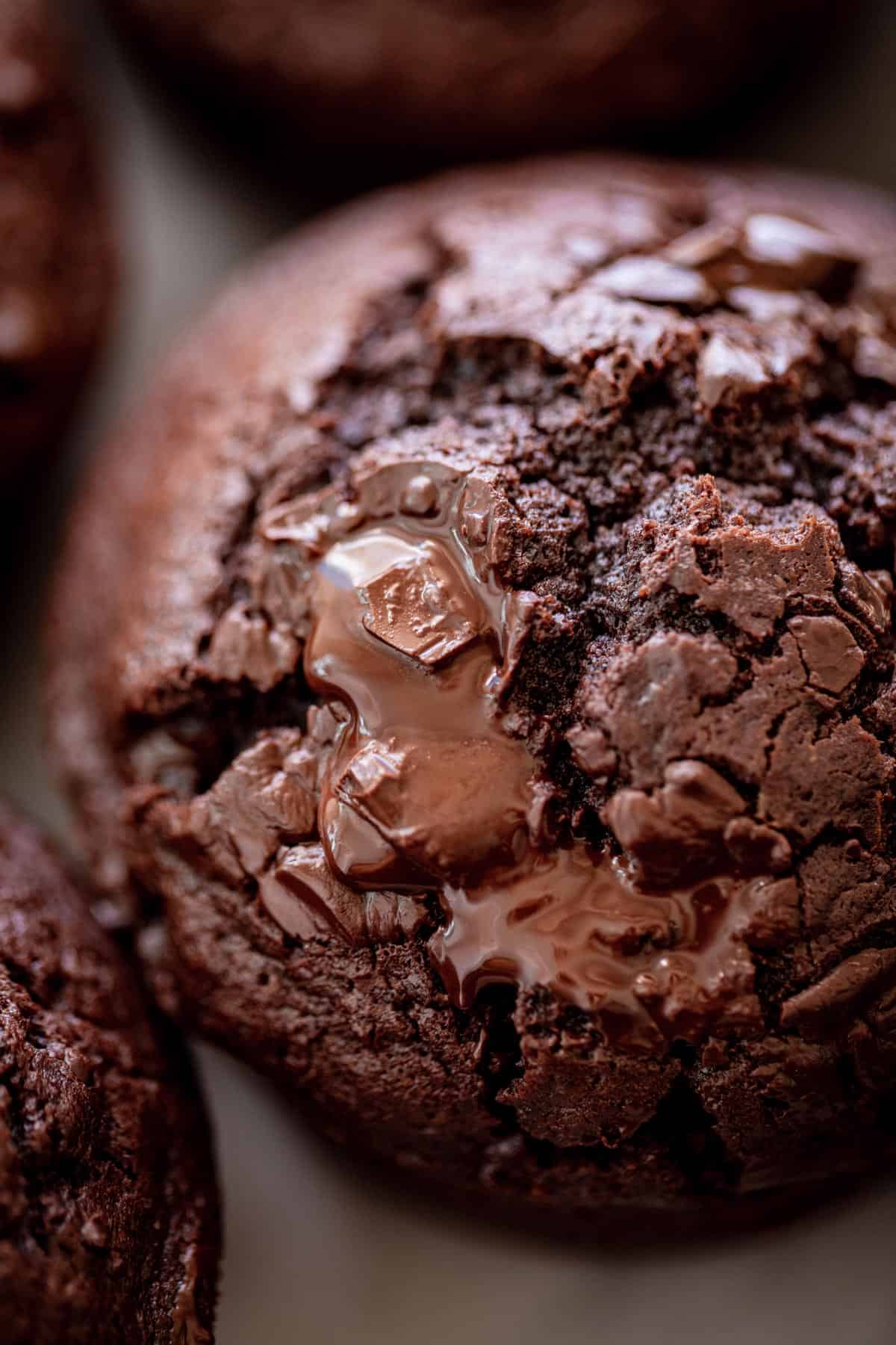 Double Chocolate Muffins