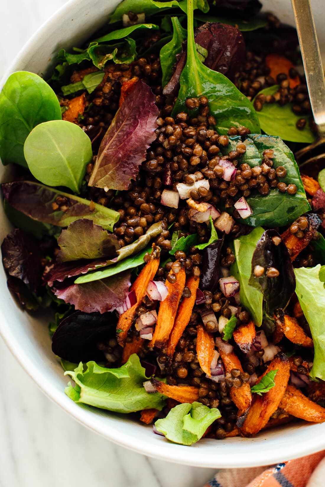 Masala Lentil Salad with Cumin Roasted Carrots