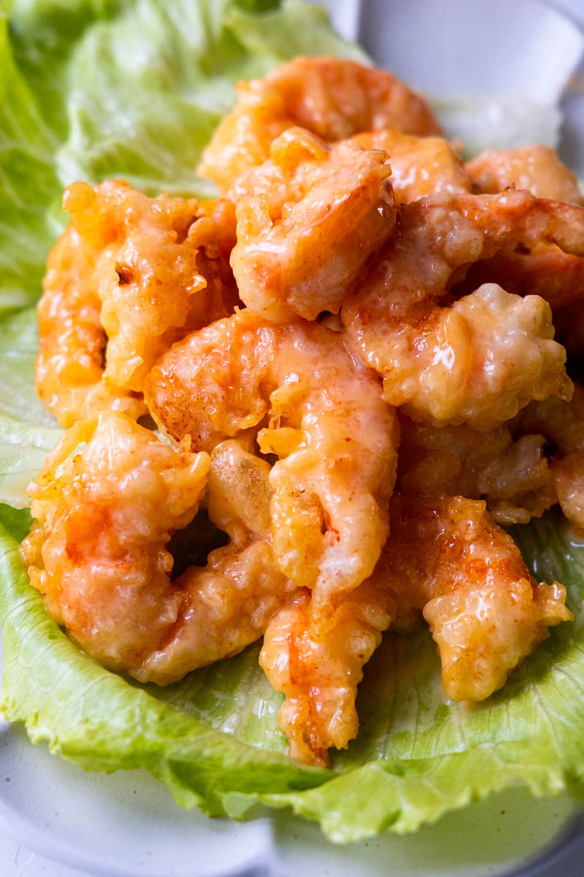 Dynamite Shrimp