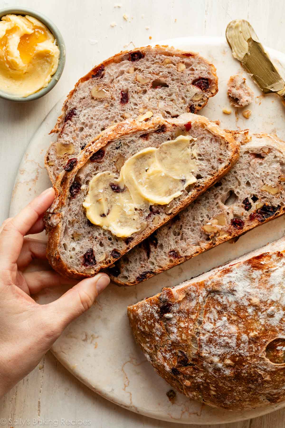 Crusty Cranberry Nut No-Knead Bread